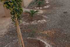 IMG-20241019-WA0040