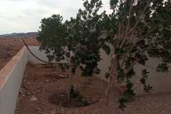 IMG-20241019-WA0045