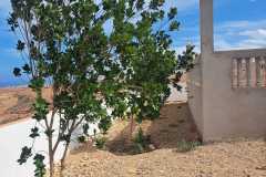 IMG-20241023-WA0009