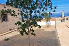 IMG-20241023-WA0012
