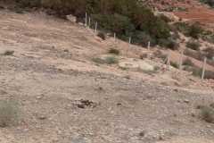 IMG-20241019-WA0011