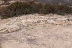 IMG-20241019-WA0013
