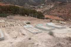 IMG-20241019-WA0015