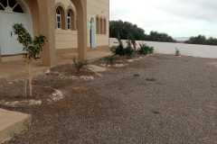 IMG-20241019-WA0042