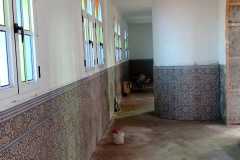 IMG-20211026-WA0006
