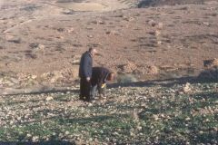 IMG-20171230-WA0026