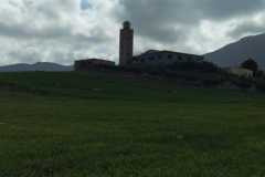 IMG-20210310-WA0001