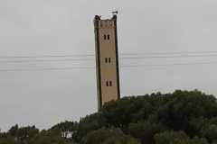IMG-20200808-WA0000