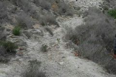 IMG-20160126-WA0009