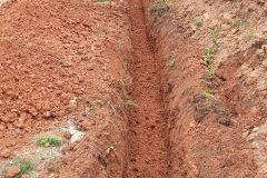 IMG-20170220-WA0004